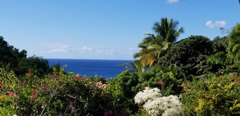 guadeloupe-gites-bungalow-petit-cabazat-7